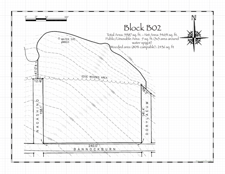 Pennsic 49 Block B02 Map